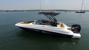 Sea Ray 24 ft